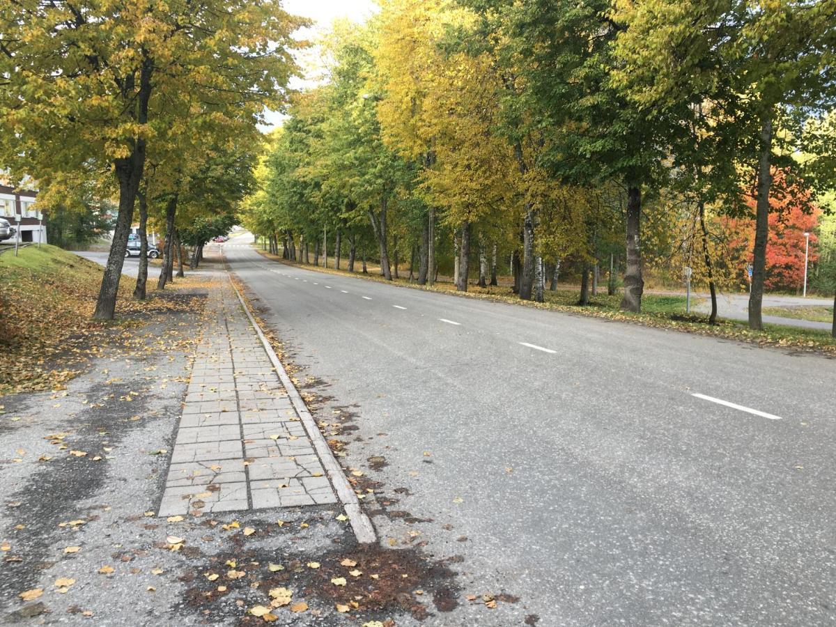 City Centre Apartment Siilinjaervi Eksteriør bilde